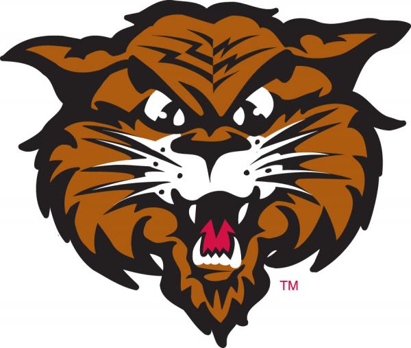 Wildcat Willie