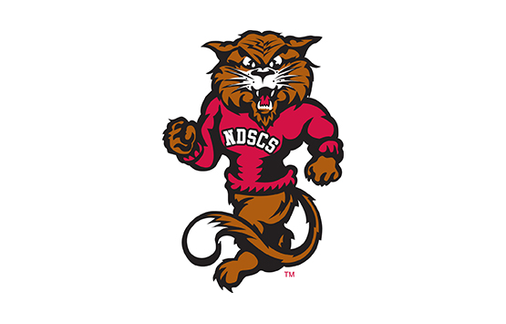 Wildcat Men's and Women's Basketball