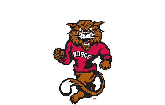 Wildcat Men's and Women's Basketball